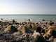 Strand_steiniger